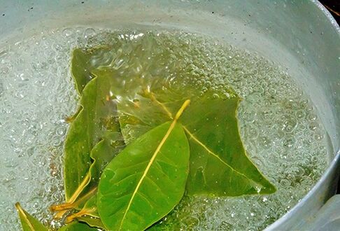 A decoction of bay leaves for a relaxing bath in case of potency problems