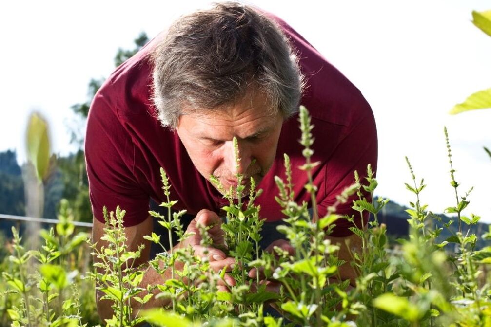 Various herbs help restore male potency